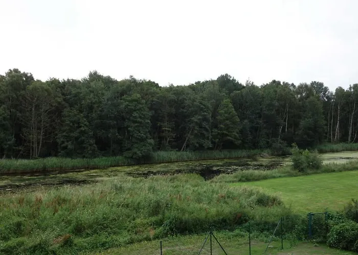 Dom wakacyjny Ferienhaushaelfte Duenenblick Graal-Mueritz